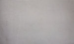 Load image into Gallery viewer, Faux Fake Fur Solid Velboa  Fabric by the Yard White 60" wide
