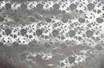 Load image into Gallery viewer, Brocade Silver Jacquard fabric Satin Floral 58" wide per yard
