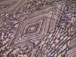 Load image into Gallery viewer, GEO GARDEN NAVY Sequin Mesh Polyester Lace Large Print Fancy Elegant Apparel Wedding Prom Veil Fabric By the Yard 55 " Wide
