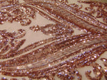 Load image into Gallery viewer, Victorian Egg/Tulip, Rose Gold, Big Print, Sequin, 4-way Stretch, Fabric 54" Sold By the Yard, Wedding, Prom, Dresses, Lingerie, Pageant
