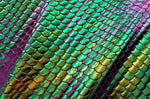Load image into Gallery viewer, Mermaid Hologram Spandex- Purple, green, gold and Turquoise, Over a Purple Base  Metallic foil scales Fabric by the yard
