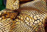 Load image into Gallery viewer, Gold Giant Snake Scales Hologram Nylon Spandex Fabric dance swimsuits 4 way stretch 58" wide  Sportswear, Athletic
