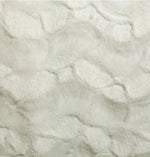 Load image into Gallery viewer, Minky, White Stella Fabric 58" Wide Sold by the Yard
