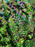 Load image into Gallery viewer, Green Multi animal hologram stretch spandex fabric SOLD BY YARD 60 inches wide
