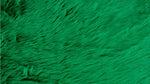 Load image into Gallery viewer, 10 Yard Bolt Fur Faux fake Kelly Green shaggy faux fur fabric 60" Wide
