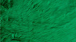 Load image into Gallery viewer, Fur Faux fake Kelly Green shaggy faux fur  fabric sold per yard 60" Wide
