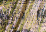 Load image into Gallery viewer, Yellow Matrix Iridescent multi pattern 4 way stretch spandex fabric,SOLD BY YARD 60 inches wide
