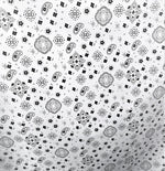 Load image into Gallery viewer, White bandana cotton print paisley print 58"/59" By yard
