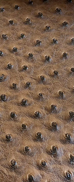 Load image into Gallery viewer, Ostrich /faux vinyl Marine grade/ UV resistance waterproof Fabric-Brown
