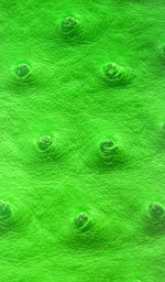 Load image into Gallery viewer, Neon Lime ostrich faux vinyl Marine grade UV resistance waterproof Fabric
