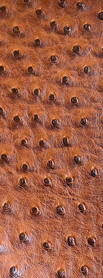 Load image into Gallery viewer, Ostrich, Chestnut faux vinyl Marine grade UV resistance waterproof Fabric
