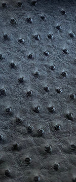 Load image into Gallery viewer, ostrich/ faux vinyl Marine grade/ UV resistance waterproof Fabric- charcoal gray
