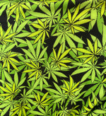 Load image into Gallery viewer, spandex stretch bright green on black, FLOWER  (PLANT) leaves print sold by the yard
