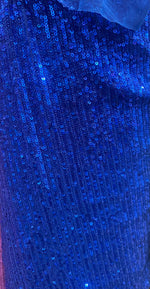 Load image into Gallery viewer, Royal Pleated Glitz Sequin Mesh Fabric By The Yard
