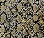 Load image into Gallery viewer, Cream Cobra Snake Embossed vinyl fabric sold by the yard 54” wide
