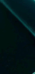 Load image into Gallery viewer, Hunter Green micro silky soft velvet none stretch fabric 54 Wide Sold By The Yard.
