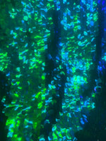 Load image into Gallery viewer, Mermaid Shiny 20mm paillette sequin on mesh fabric sold by yard
