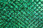Load image into Gallery viewer, 4-Way Stretch Green Mermaid Hologram Spandex foil scales Fabric by the yard 58” wide
