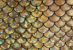 Load image into Gallery viewer, 4-Way Stretch Gold Mermaid Hologram Spandex Metallic foil scales Fabric by the yard
