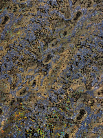 Load image into Gallery viewer, Snake mystique with glitter spandex 4 way stretch 60" wide
