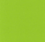 Load image into Gallery viewer, Outdoor Waterproof Lime Canvas fabric 60" wide per yard
