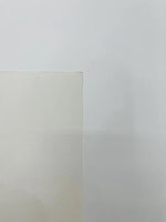 Load image into Gallery viewer, White UV Protected Marine Vinyl Fabric by the Yard – Waterproof Outdoor Upholstery for Boat Seats,  Cushions &amp; Automotive
